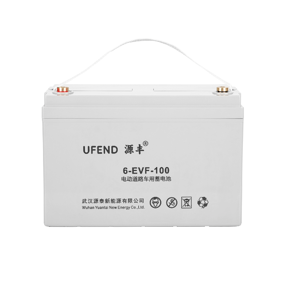 6-EVF-100